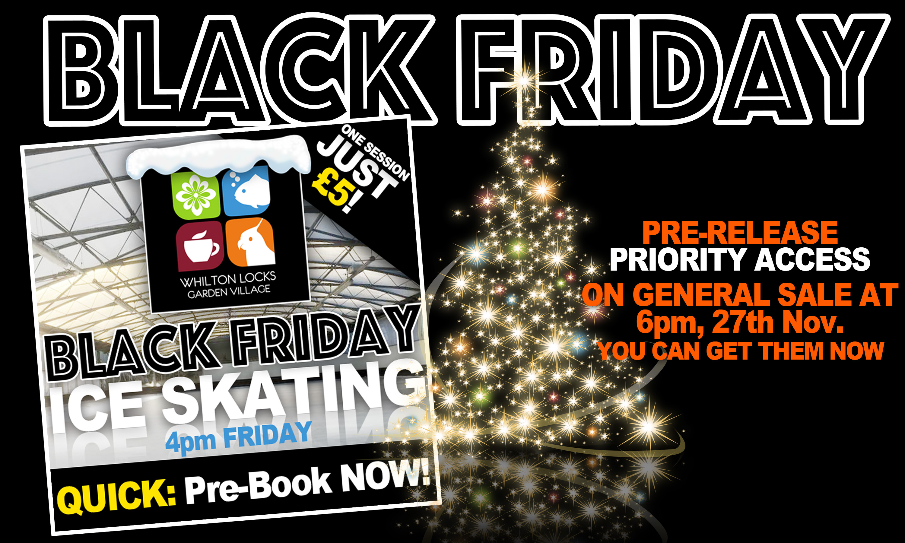 Black Friday Promotion