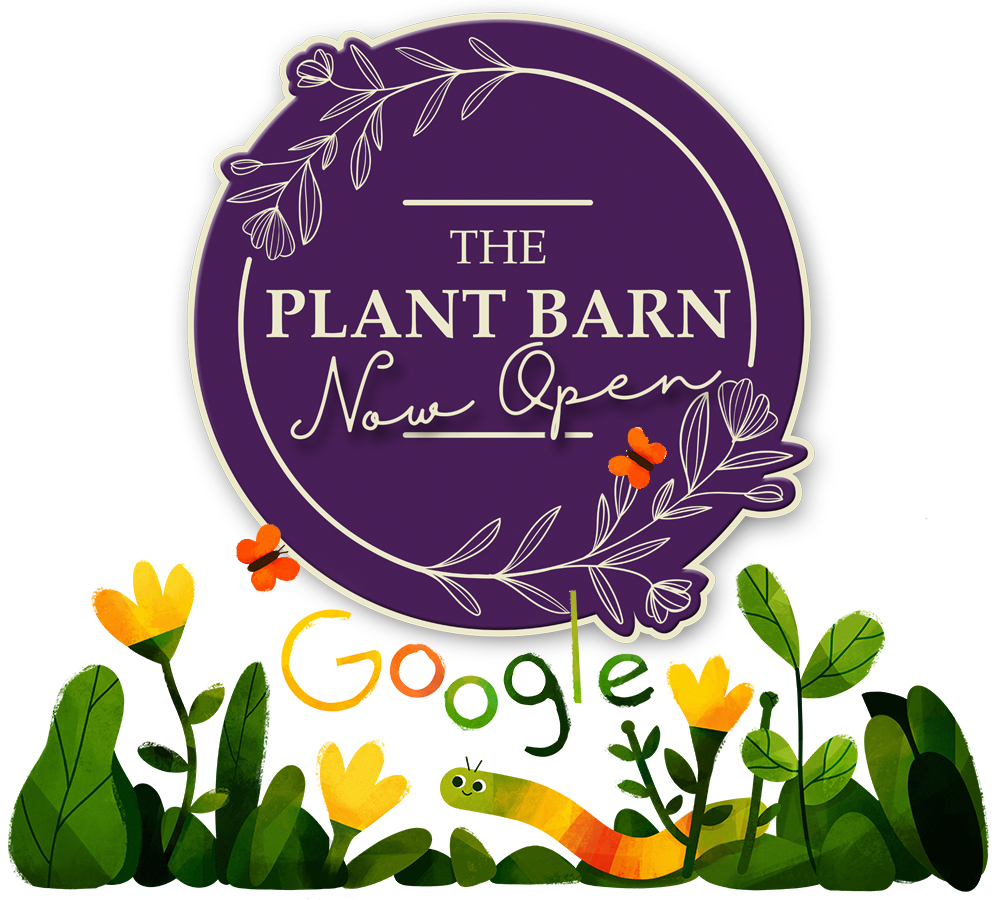 The plant barn at Heart of the Shires